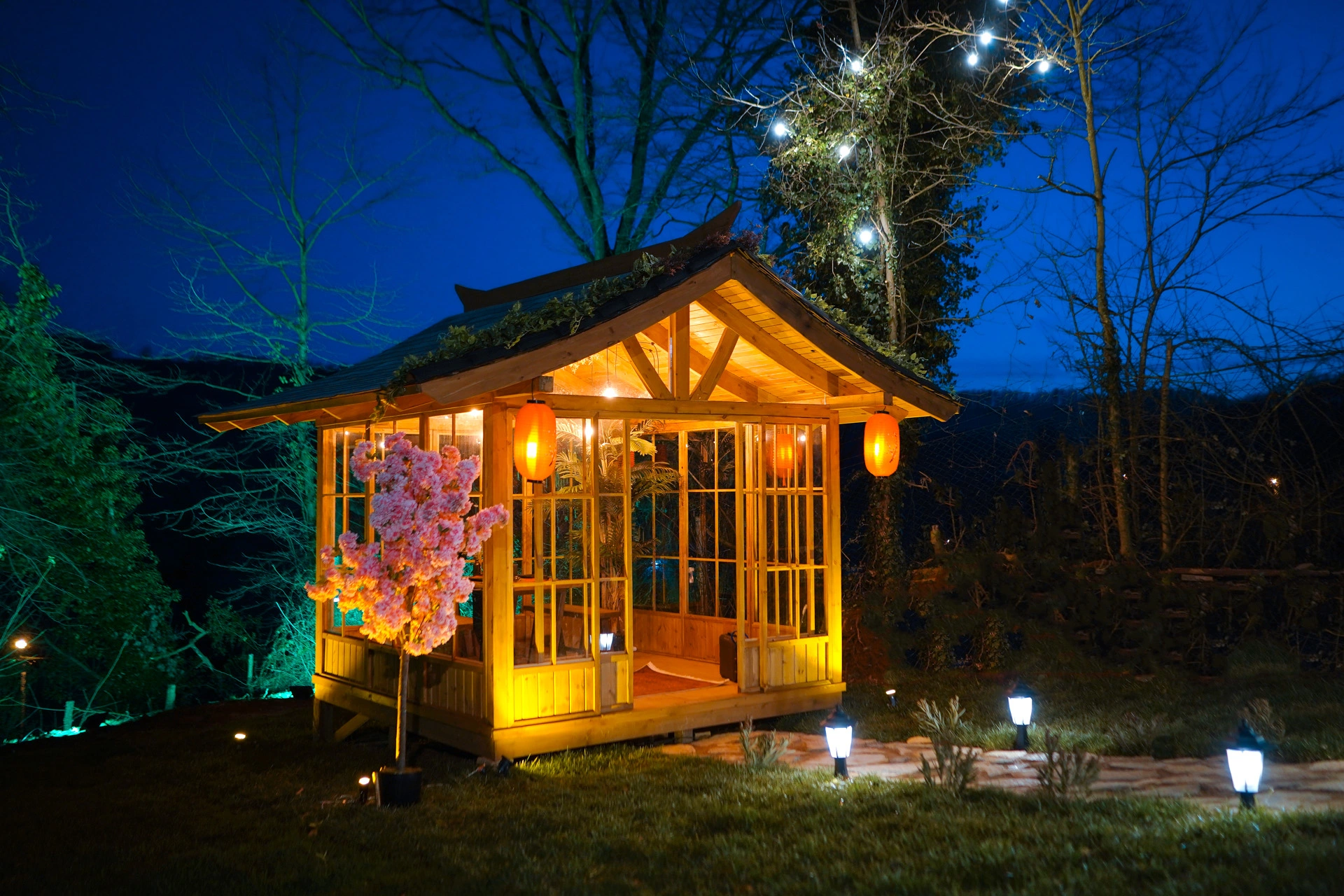 Japon Evi