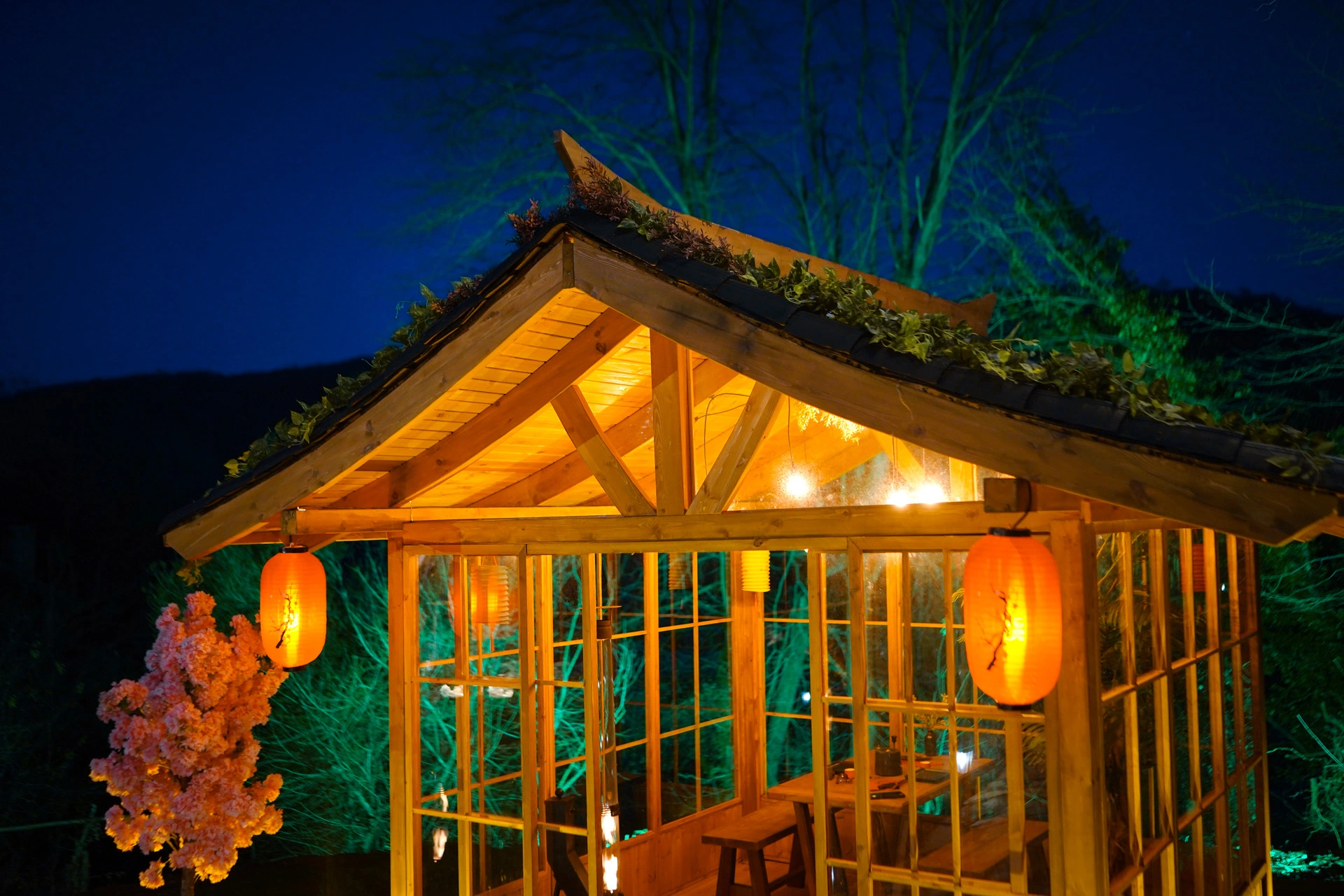 Japon Evi
